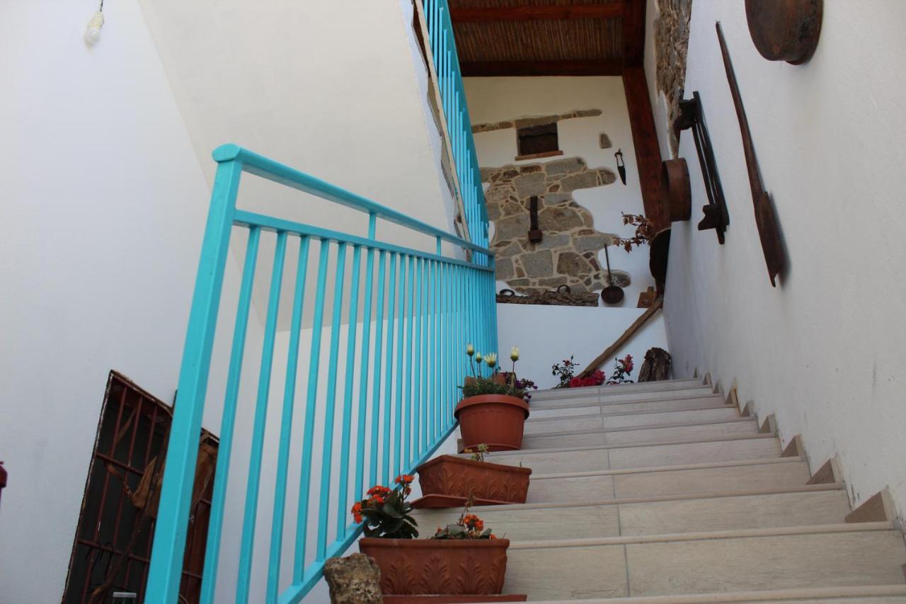 Bed And Breakfast Murales Orgosolo Ngoại thất bức ảnh